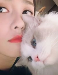 #TRUYENMOI 394 – Đọc truyện Cứu Mèo Cháy Khét, Tôi Vớ Được Chồng Yêu